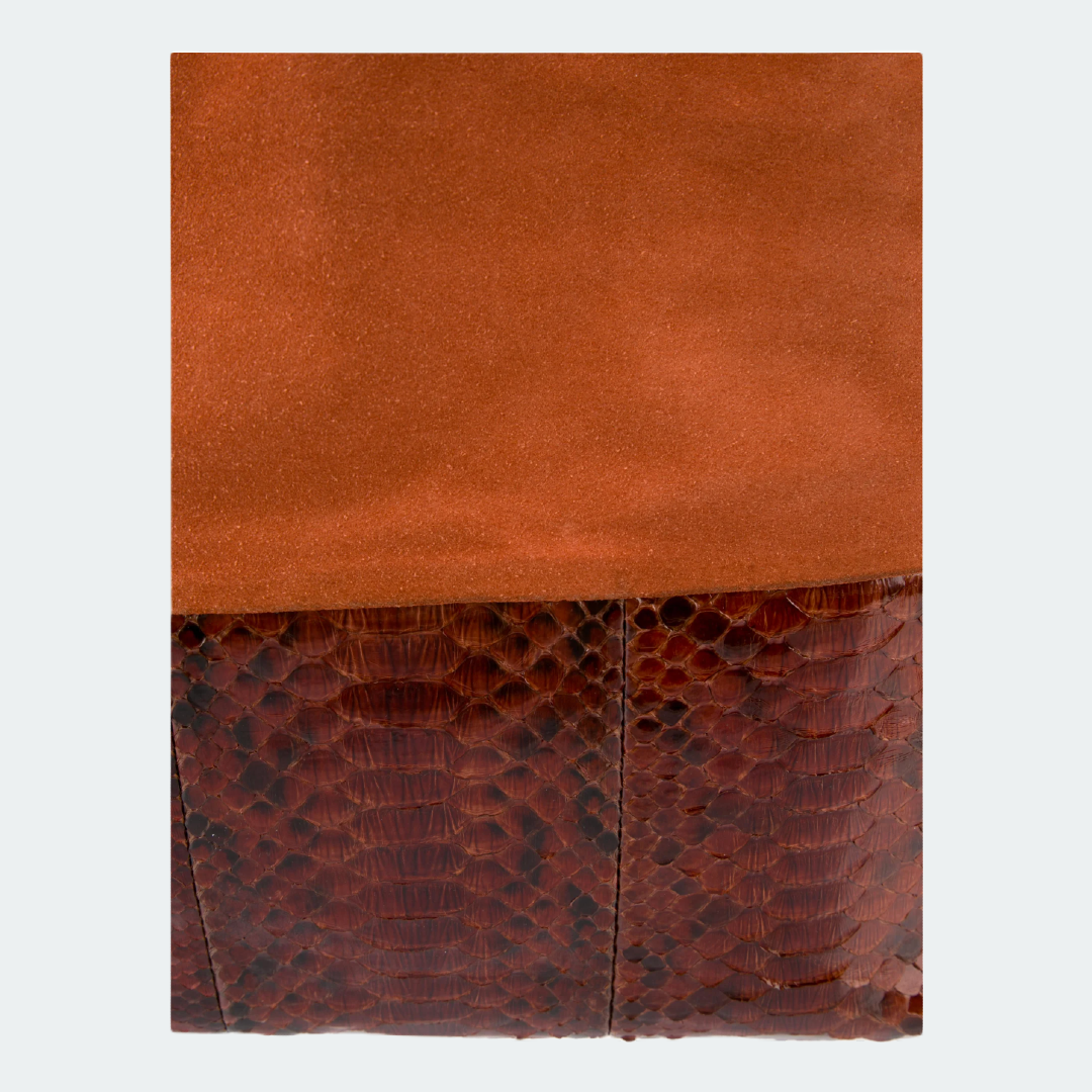 CELINE Vertical Python Cabas